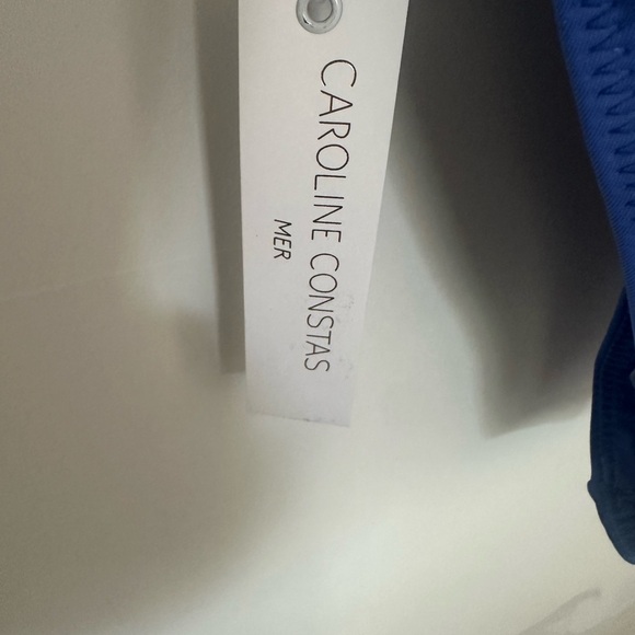 Caroline Constas Blue Ruffled One Piece Swimsuit - Picture 6 of 7